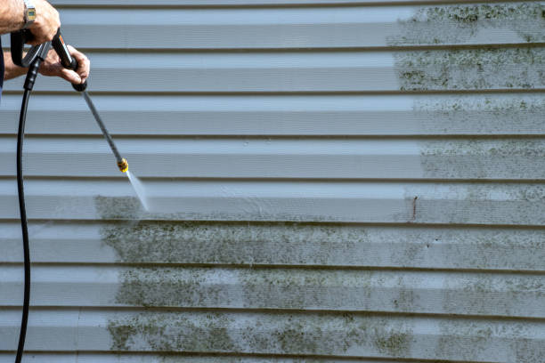 Best Shed Removal  in Avenel, NJ